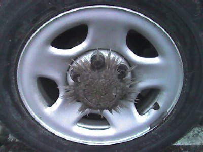 Spiky Wheel