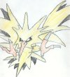 Click for a larger image of Zapdos